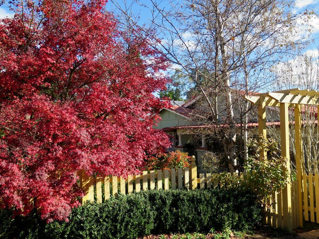 Villa Shelton-Lea Katoomba Exterior foto