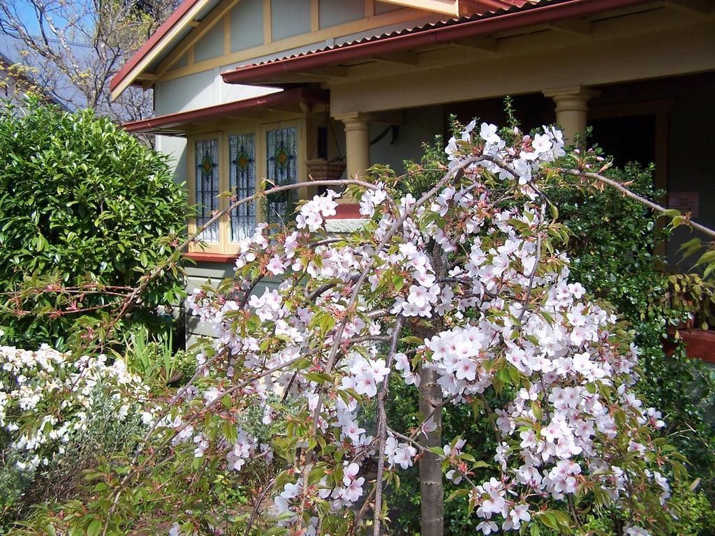 Villa Shelton-Lea Katoomba Exterior foto