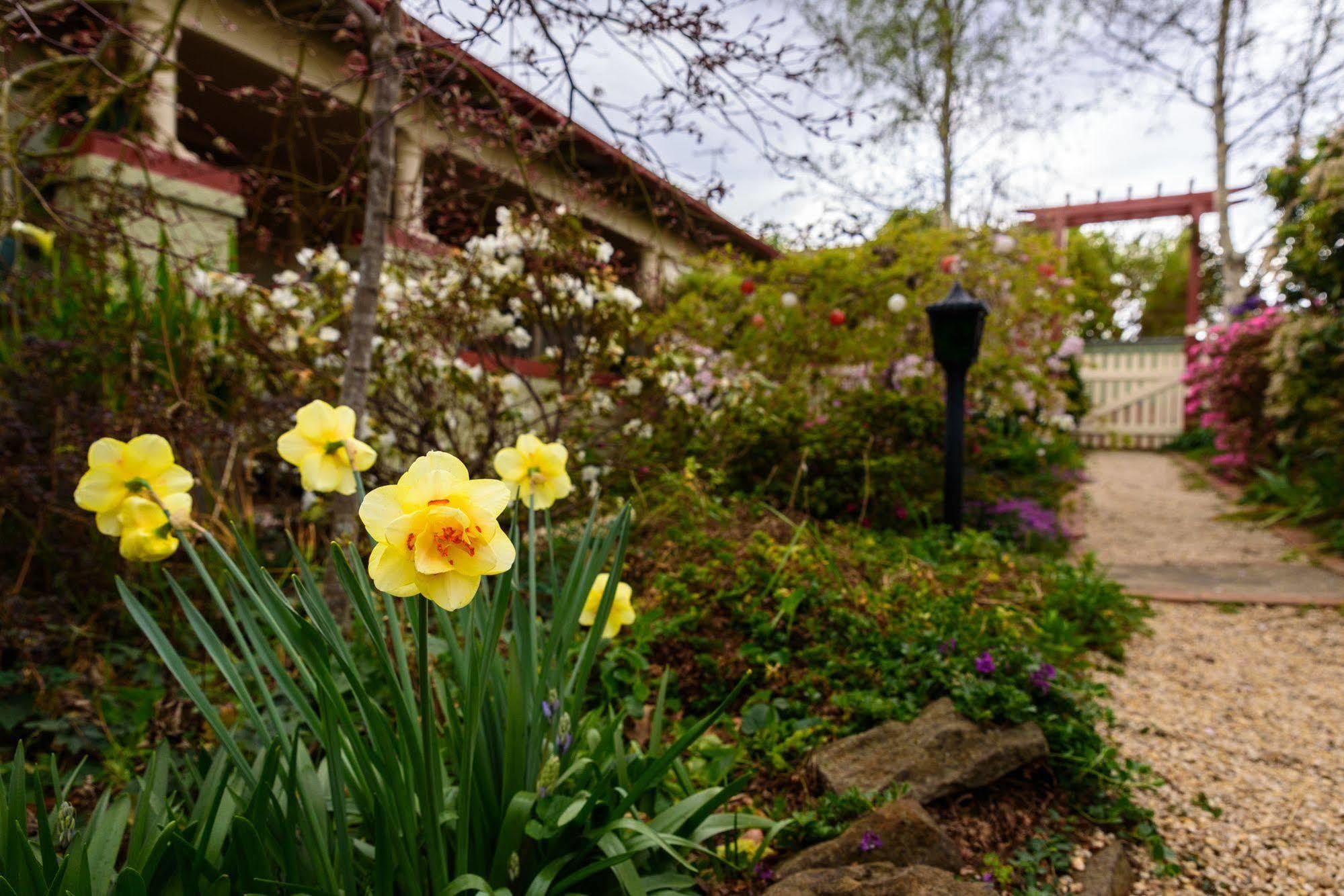 Villa Shelton-Lea Katoomba Exterior foto